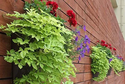 Expert landscaping services for beautiful yards across Englewood, CO - Bloom Floralscapes