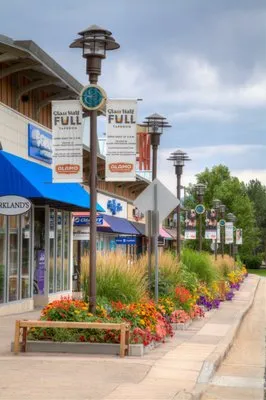 Bloom Floralscapes Logo