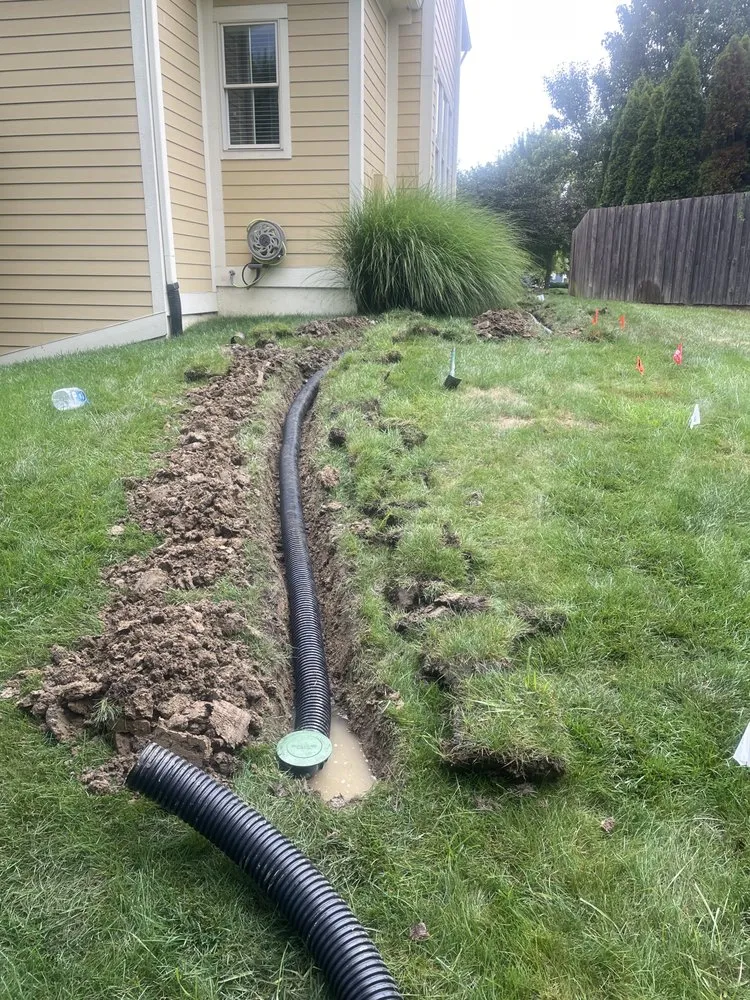 Trusted yard cleanup service in Anderson, IN - Bloom Irrigation