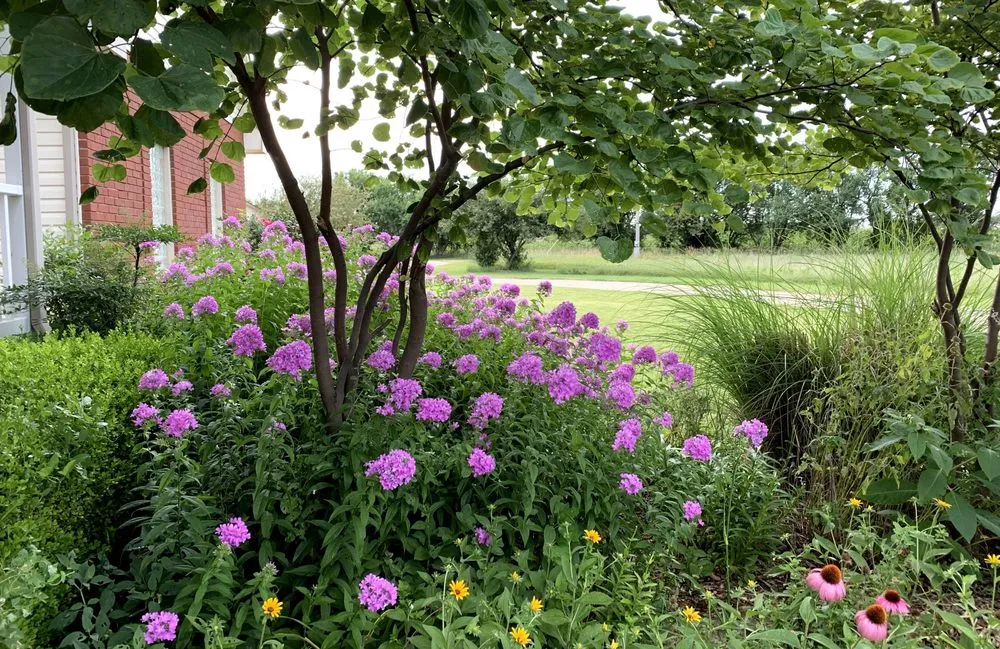 Top-rated landscape design in Rose Hill, KS - Bloom KS
