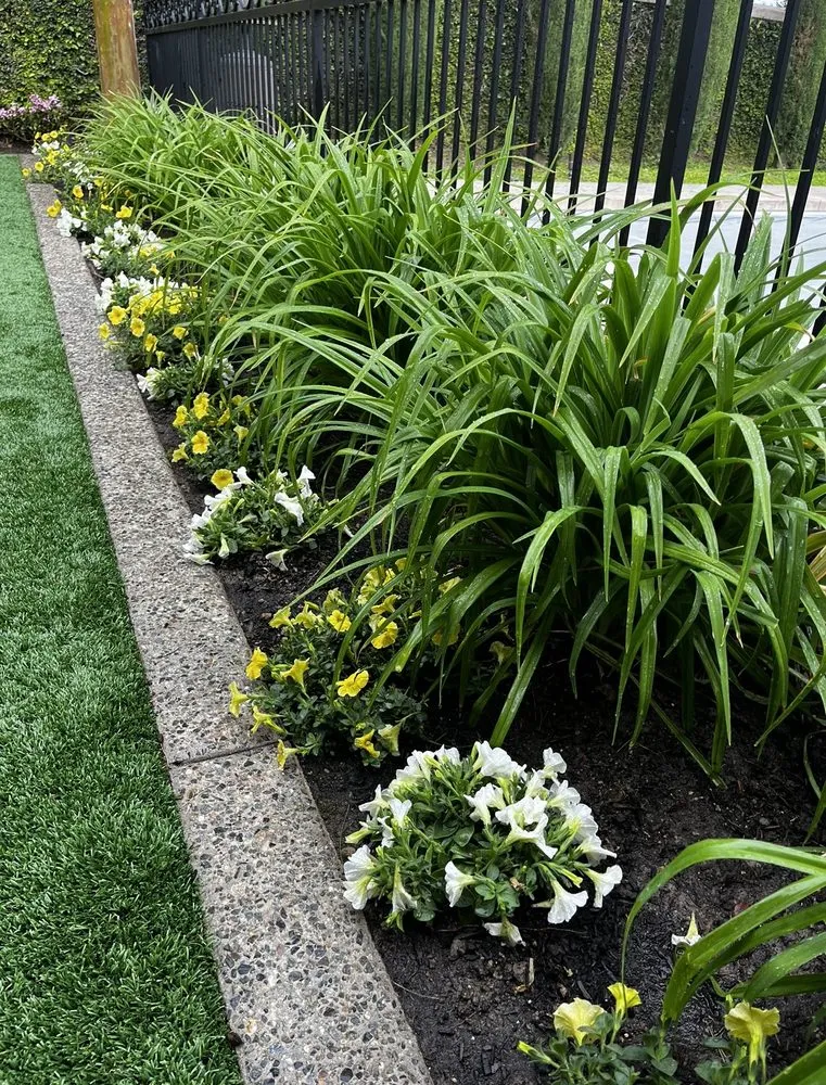 Professional garden landscaping experts serving Costa Mesa, CA - Bloom Landscape