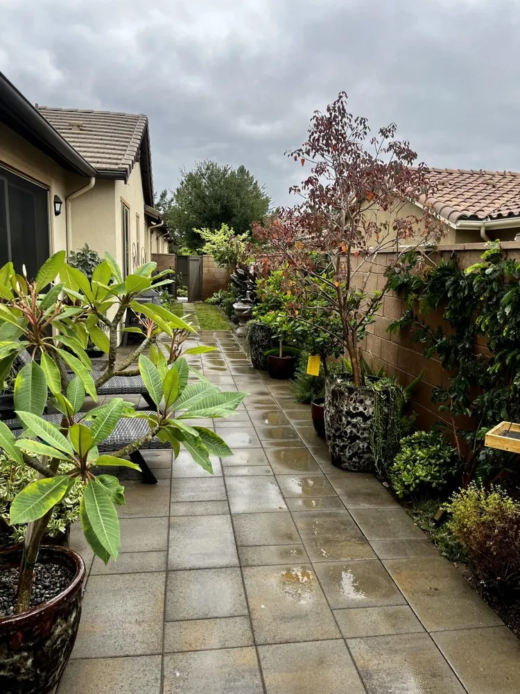 Professional landscaping services in Costa Mesa, CA by Bloom Landscape