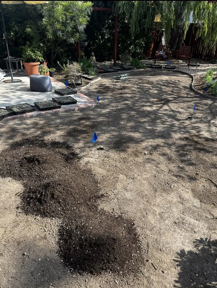 Trusted garden landscaping for year-round maintenance across Costa Mesa, CA - Bloom Landscape