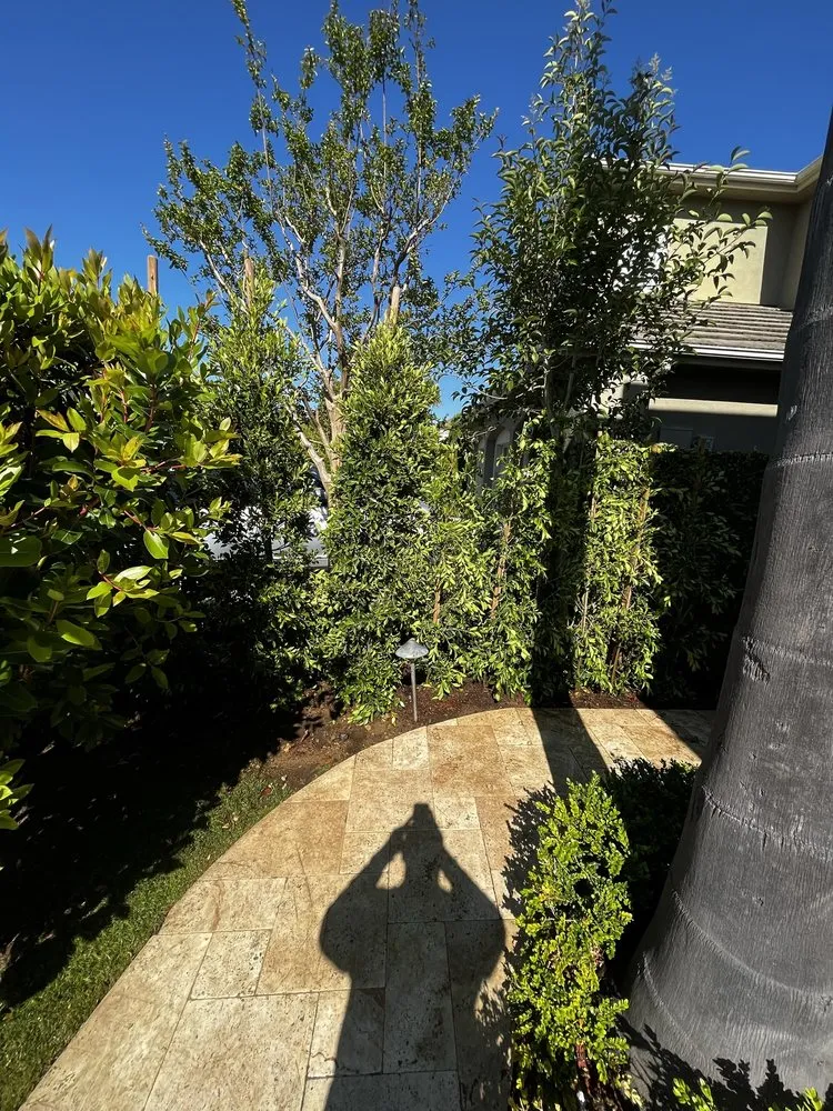 Affordable outdoor landscaping experts serving Costa Mesa, CA - Bloom Landscape