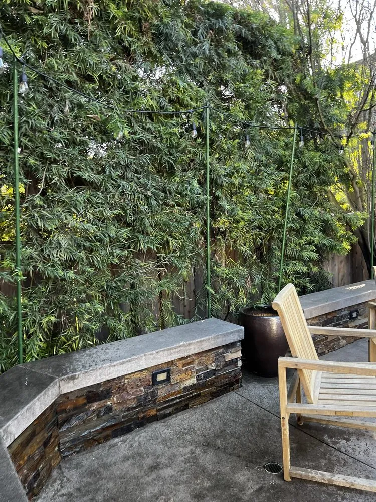 Professional landscaping services experts serving Costa Mesa, CA - Bloom Landscape