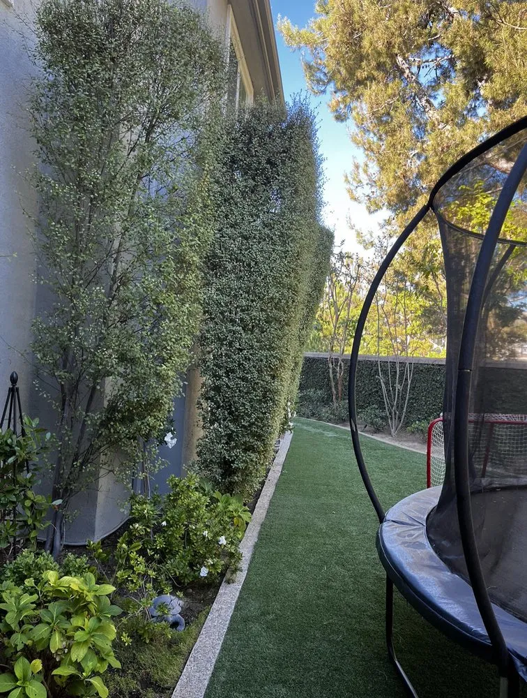 Expert yard cleanup service experts serving Costa Mesa, CA - Bloom Landscape