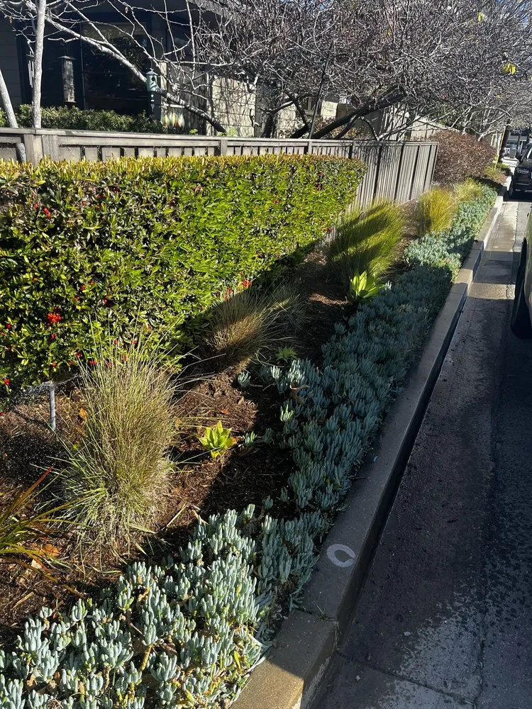 Expert outdoor landscaping in Costa Mesa, CA - Bloom Landscape
