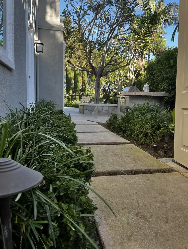 Expert residential landscaping for beautiful yards in Costa Mesa, CA by Bloom Landscape