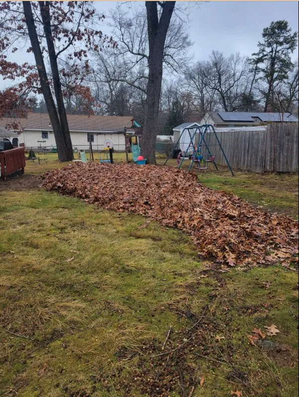 Affordable yard maintenance in West Springfield, MA - Bloom Landscaping Services