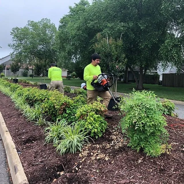 Local lawn care service in Yorktown, VA by Bloom Lawn + Landscaping