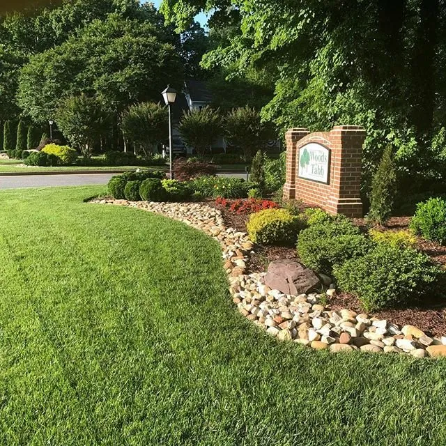Top-rated yard cleanup service in Yorktown, VA by Bloom Lawn + Landscaping