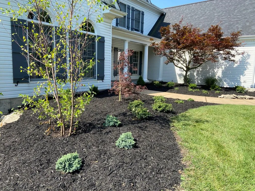 Affordable lawn mowing service for homes in Ballwin, MO by Bloom Lawn and Landscape