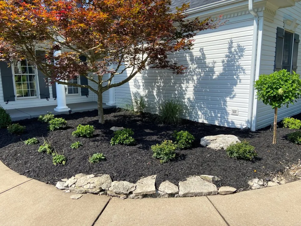 Affordable lawn care service near you in Ballwin, MO by Bloom Lawn and Landscape