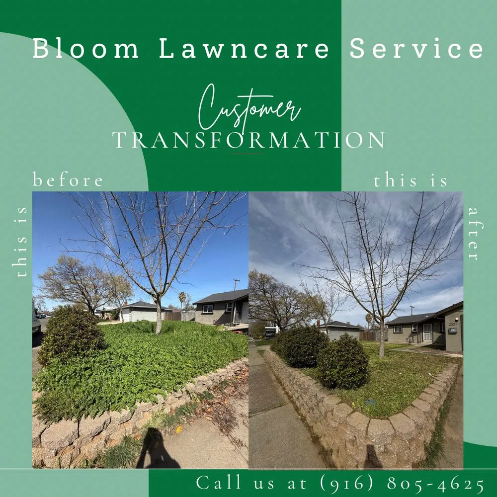Affordable landscape installation with custom design across Rancho Cordova, CA - Bloom Lawncare Service