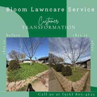 Bloom Lawncare Service Logo