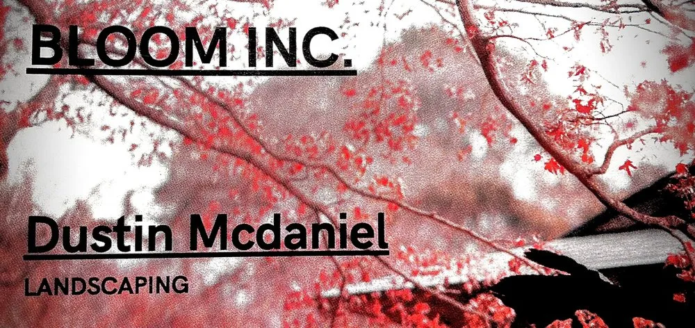 Reliable garden landscaping for homes across Lumberton, TX - Bloom