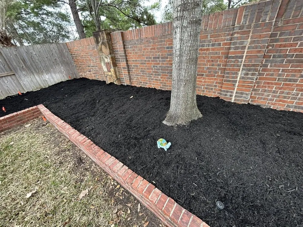 Professional lawn care service in Tomball, TX - Bloom N Mulch