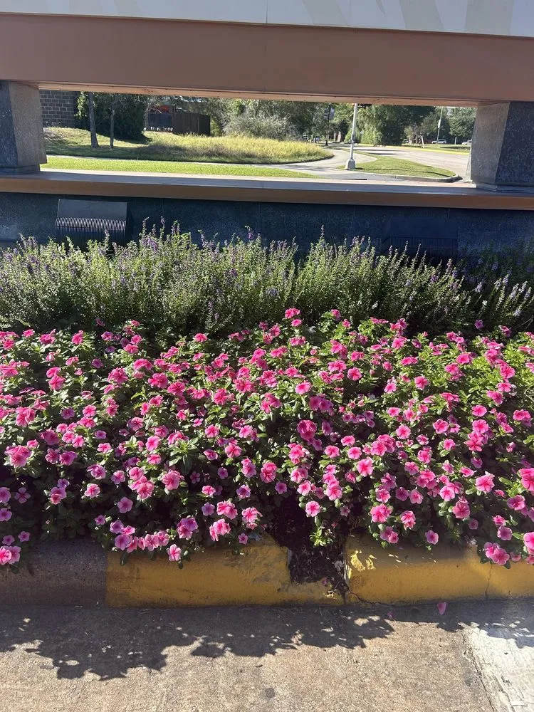 Trusted outdoor landscaping experts serving Tomball, TX - Bloom N Mulch