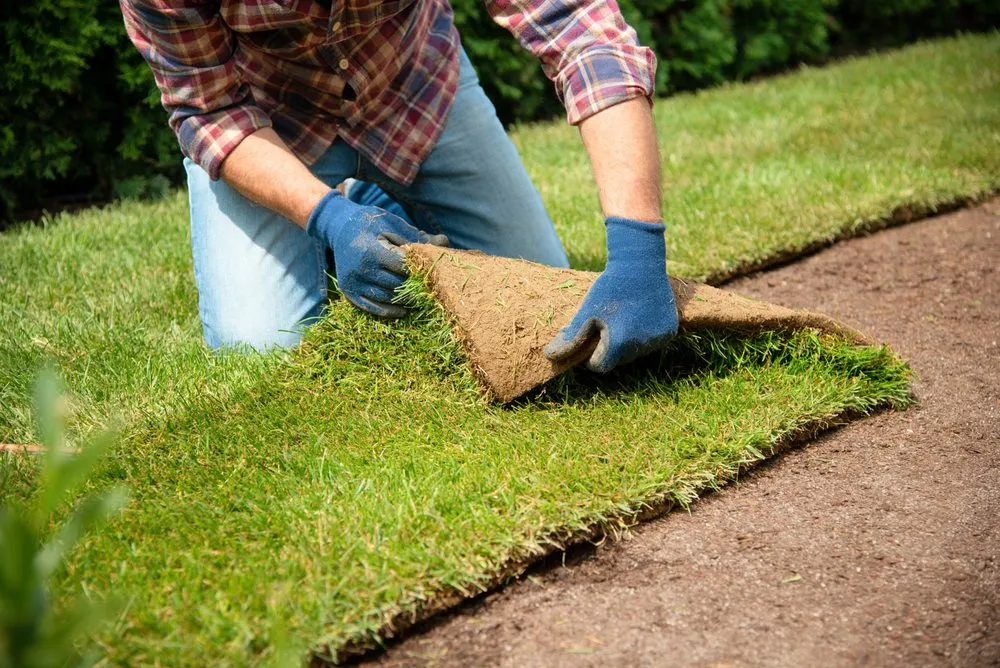 Reliable lawn care service for homes across Tomball, TX - Bloom N Mulch