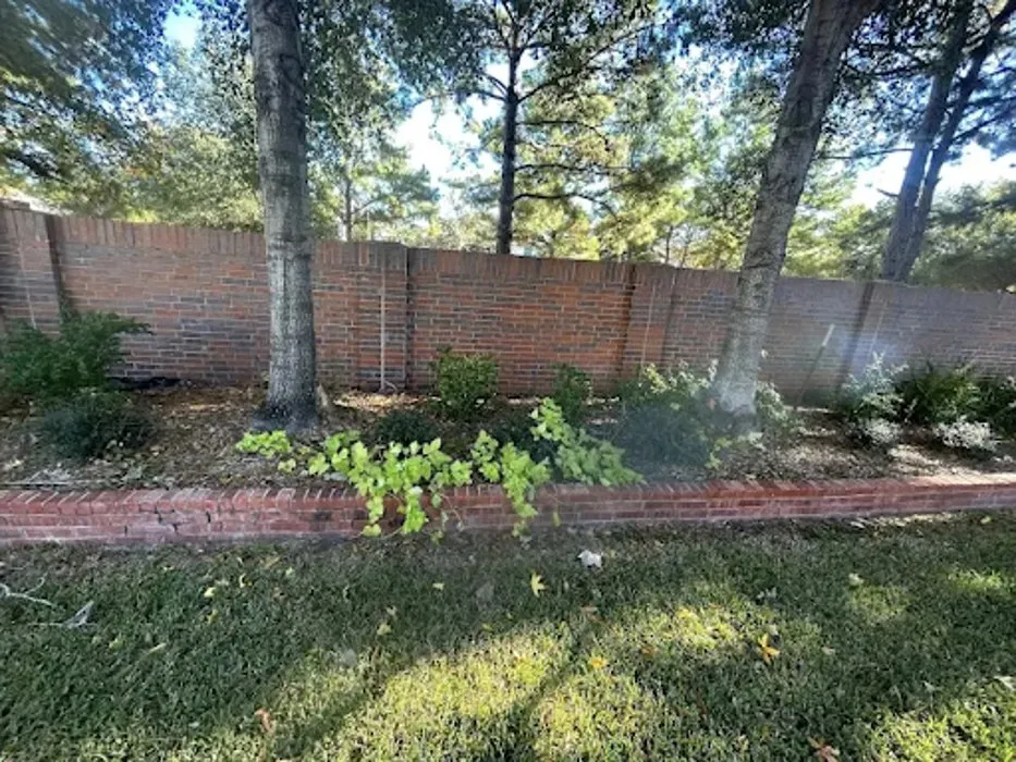 Reliable lawn mowing service in Tomball, TX - Bloom N Mulch