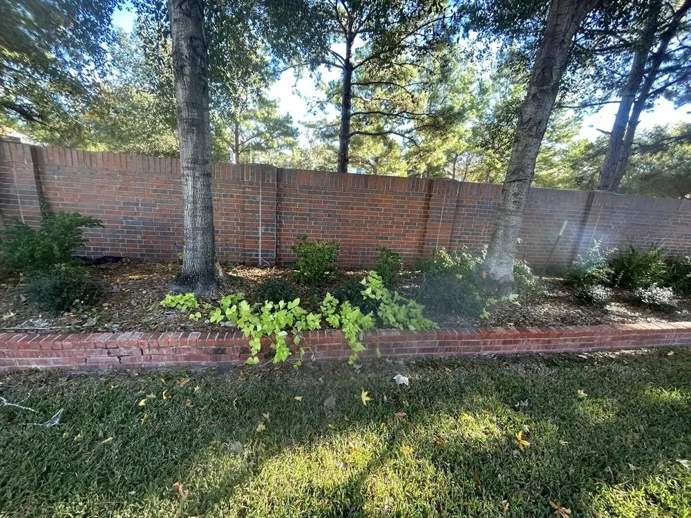 Local residential landscaping for year-round maintenance across Tomball, TX - Bloom N Mulch