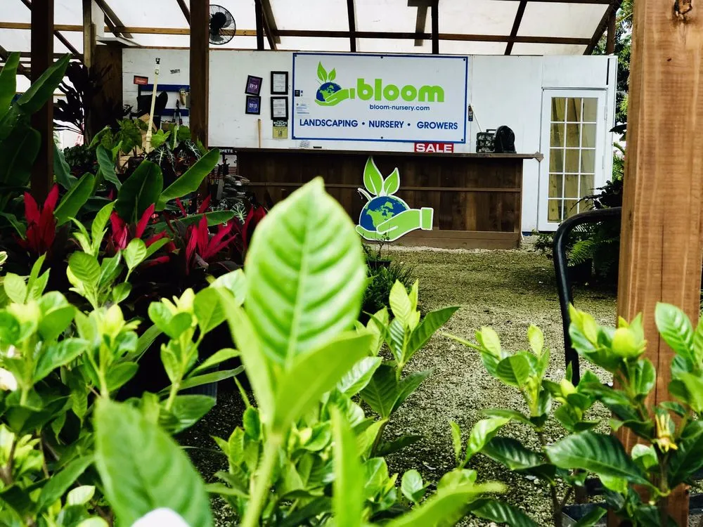 Custom landscaping services for outdoor upgrades in Southwest Ranches, FL by Bloom