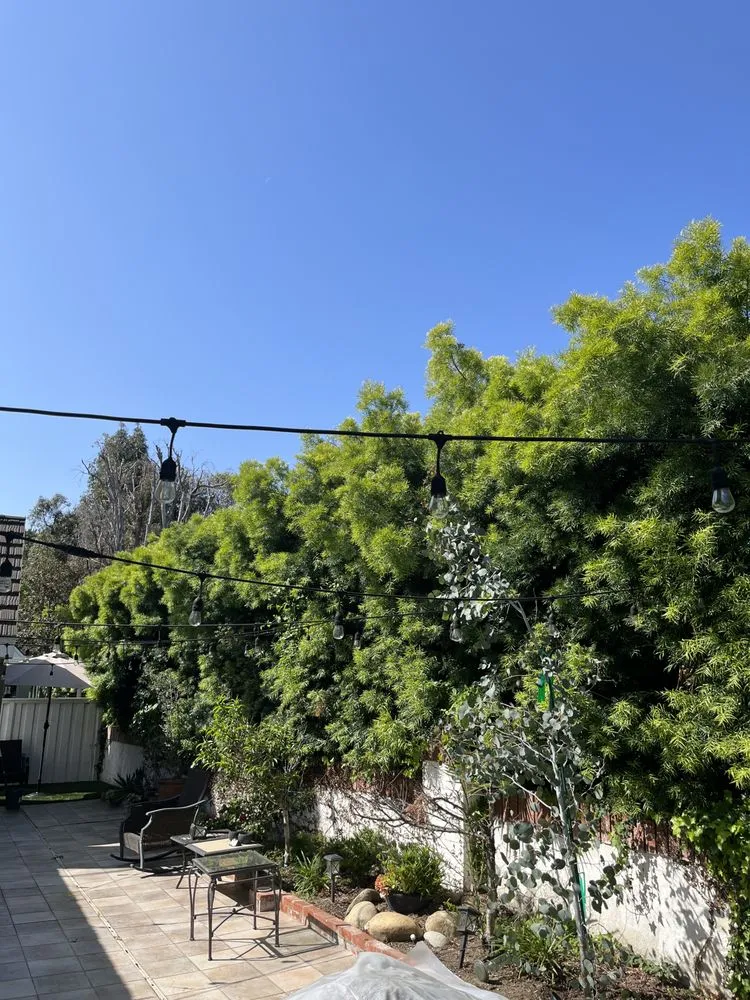 Custom lawn mowing service for homes in Santa Ana, CA by Bloom Tree Care & Landscape Services