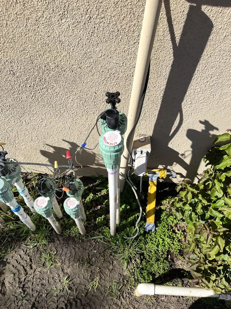 Top-rated lawn care service in Santa Ana, CA by Bloom Tree Care & Landscape Services