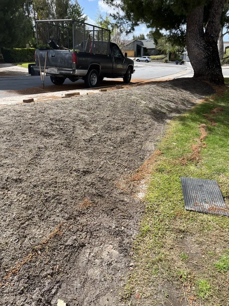 Top-rated yard maintenance for outdoor upgrades in Santa Ana, CA by Bloom Tree Care & Landscape Services