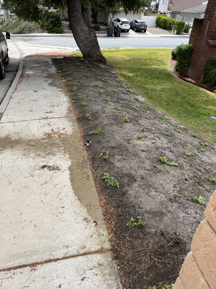 Trusted garden landscaping in Santa Ana, CA by Bloom Tree Care & Landscape Services