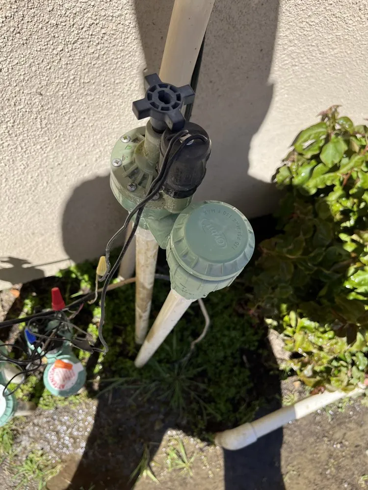 Trusted residential landscaping near you across Santa Ana, CA - Bloom Tree Care & Landscape Services