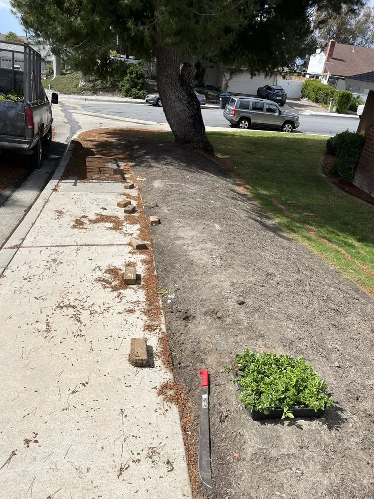 Trusted lawn mowing service for beautiful yards in Santa Ana, CA by Bloom Tree Care & Landscape Services