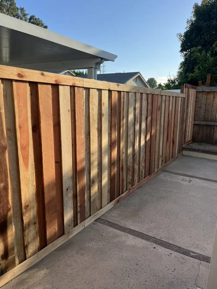 Professional landscape design in Santa Ana, CA by Bloom Tree Care & Landscape Services