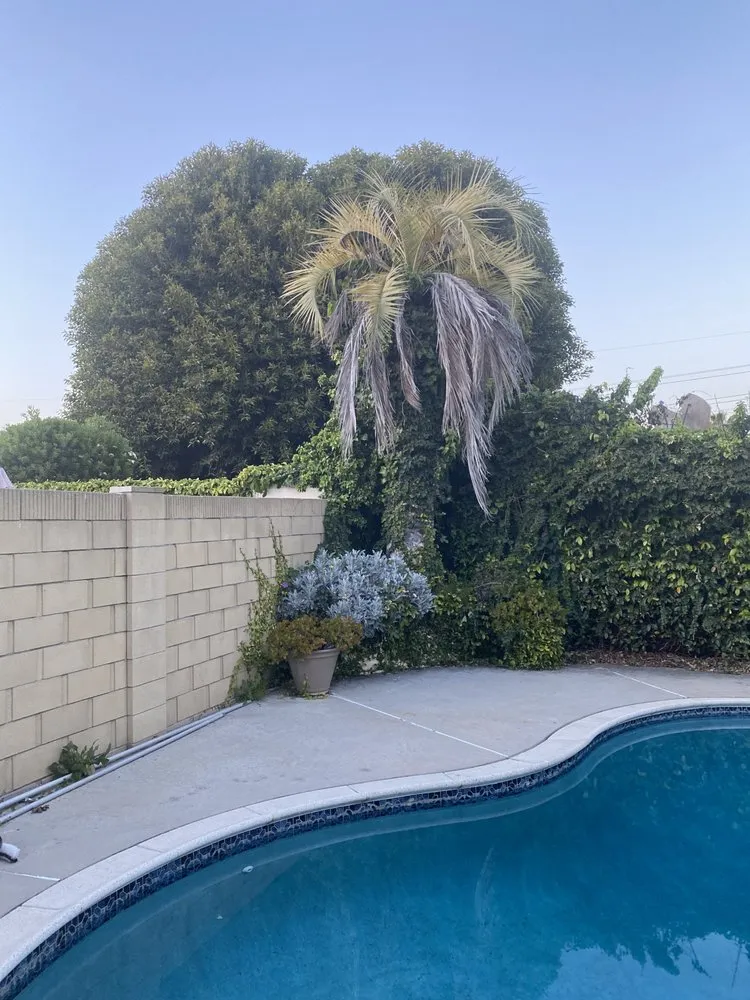 Custom lawn care service with custom design across Santa Ana, CA - Bloom Tree Care & Landscape Services