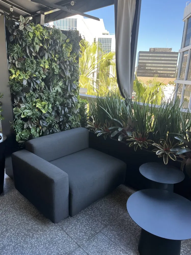 Local lawn mowing service for residential properties in Santa Monica, CA by Bloom Works Landscape