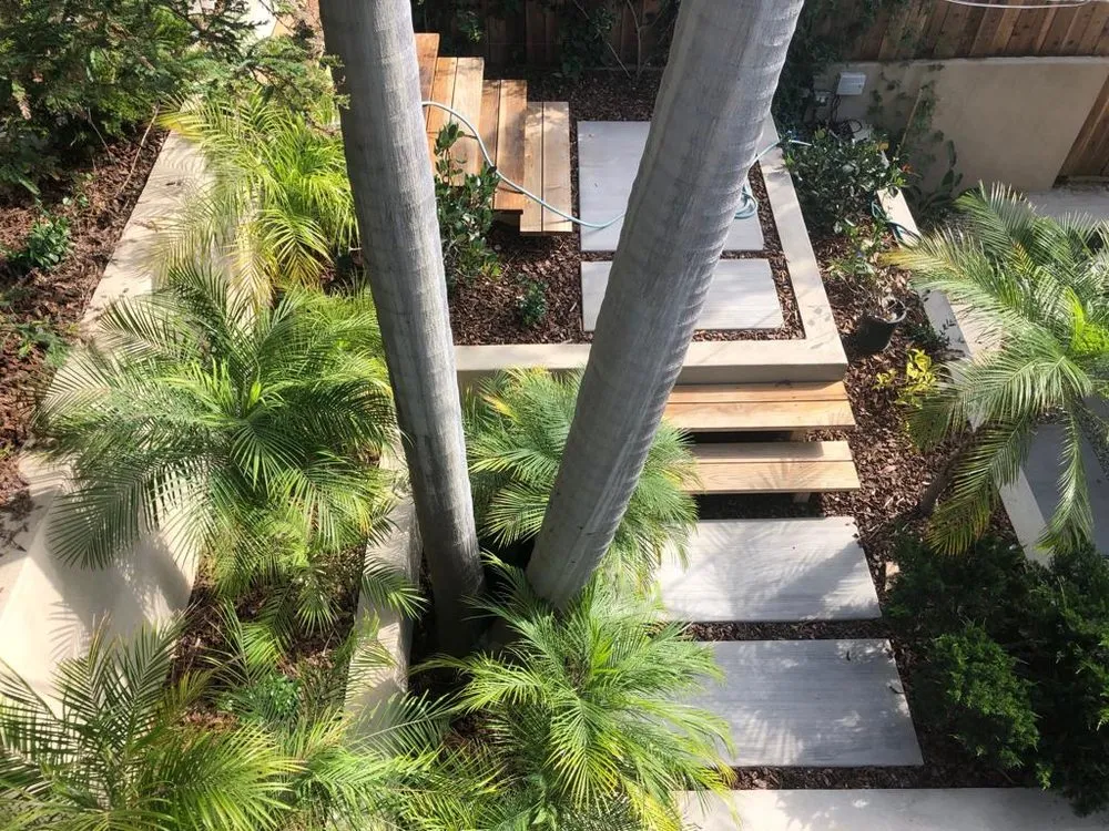 Custom garden landscaping in Santa Monica, CA by Bloom Works Landscape
