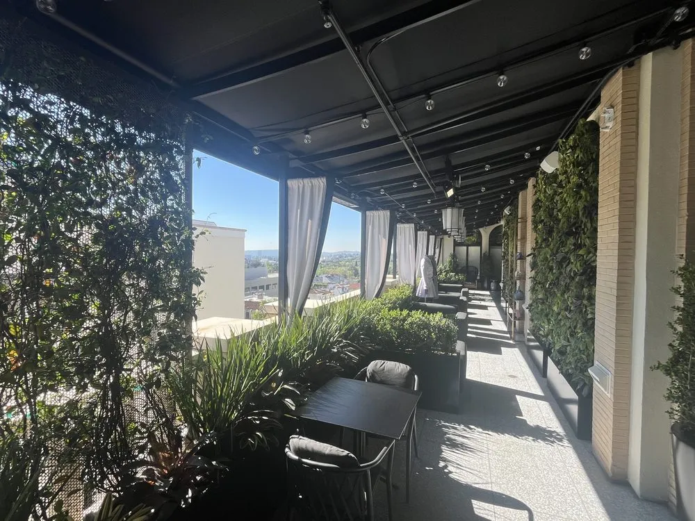 Custom yard maintenance for year-round maintenance in Santa Monica, CA by Bloom Works Landscape