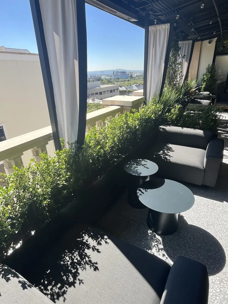 Custom landscape design experts serving Santa Monica, CA - Bloom Works Landscape