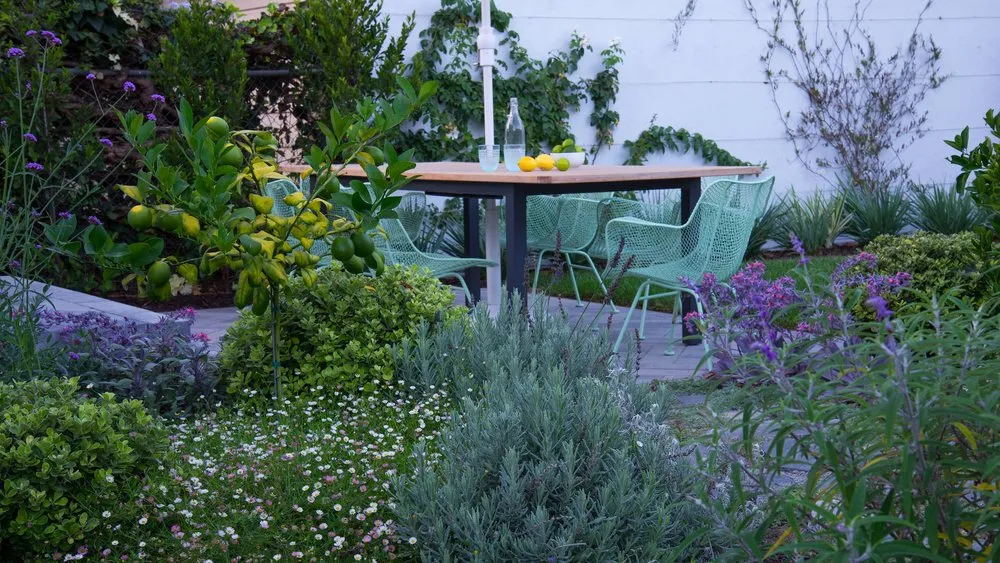 Top-rated residential landscaping near you across Santa Monica, CA - Bloom Works Landscape