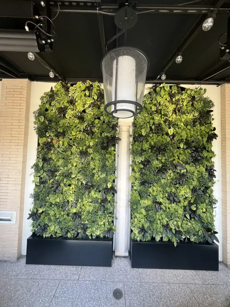 Trusted lawn care service experts serving Santa Monica, CA - Bloom Works Landscape