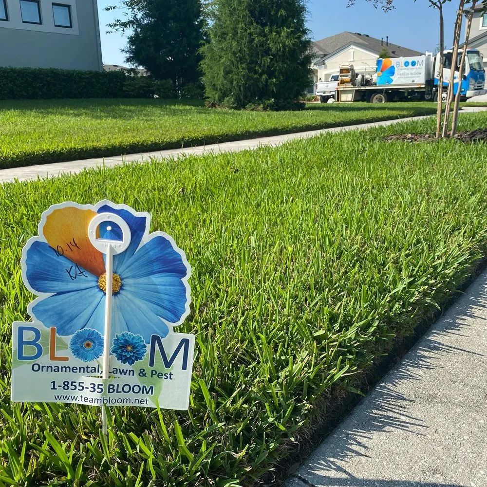 Trusted landscape design in Zephyrhills, FL by Bloom