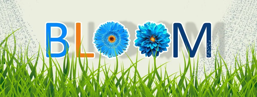 Trusted landscape design in Zephyrhills, FL - Bloom