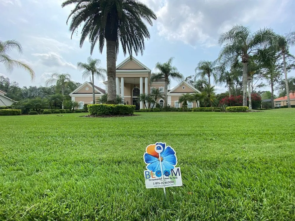 Professional yard cleanup service with custom design across Zephyrhills, FL - Bloom