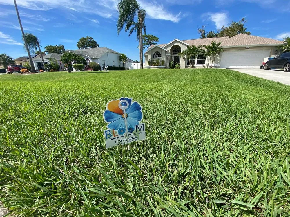 Reliable landscaping services in Zephyrhills, FL - Bloom