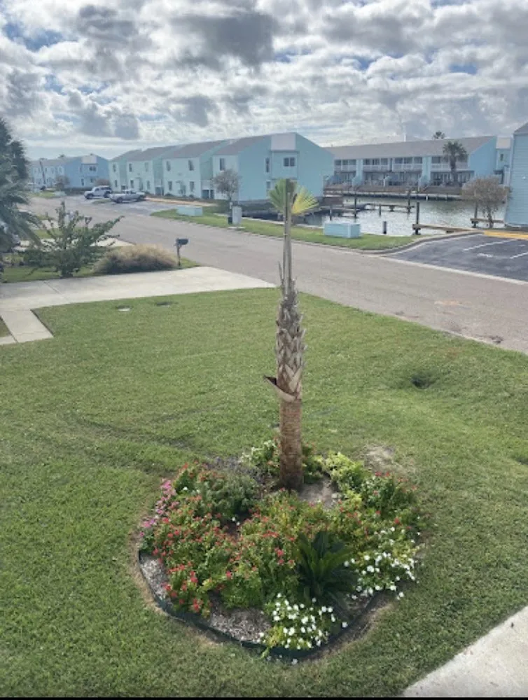 Custom yard cleanup service experts serving Rockport, TX - Bloomers Nursery & Landscape