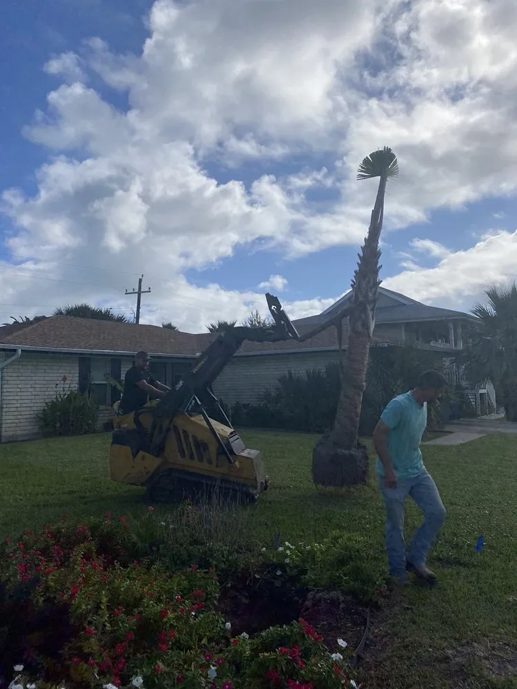 Affordable yard maintenance in Rockport, TX by Bloomers Nursery & Landscape