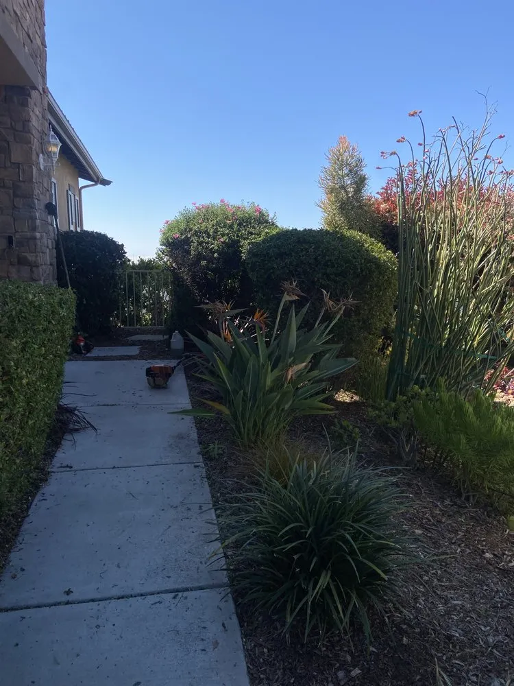 Local garden landscaping for outdoor upgrades in Paramount, CA by Bloomfield Landscaping