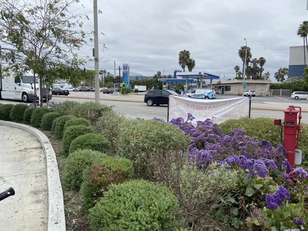 Affordable yard cleanup service in Paramount, CA by Bloomfield Landscaping