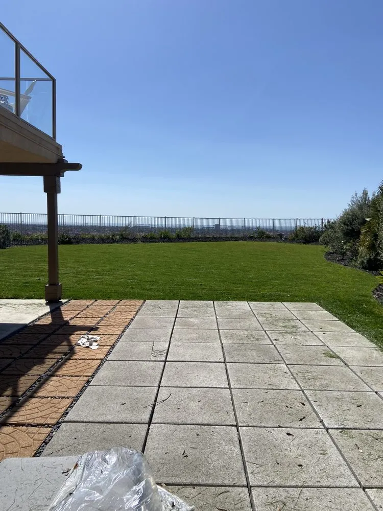 Trusted outdoor landscaping for homes in Paramount, CA by Bloomfield Landscaping