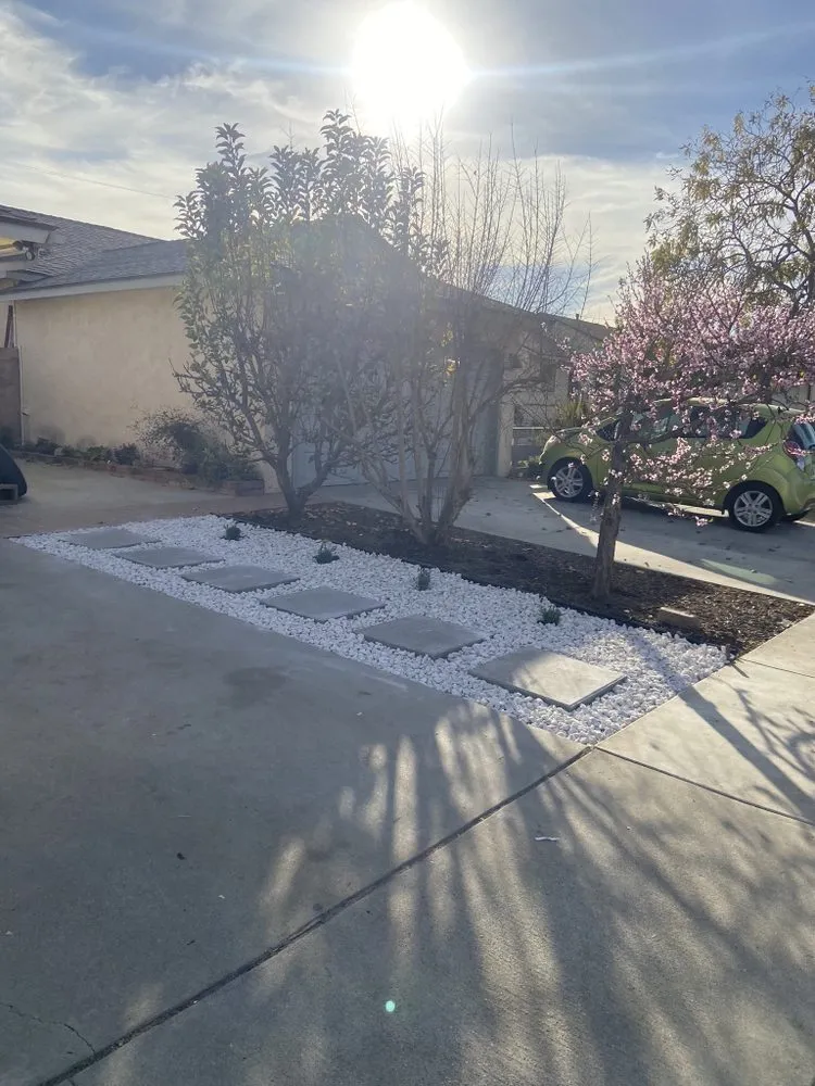 Professional landscape installation in Paramount, CA by Bloomfield Landscaping